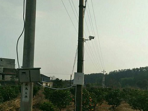 浏阳多友园沃柑基地安装无线高清视频监控系统